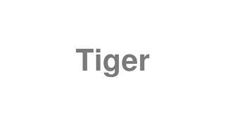 Tiger