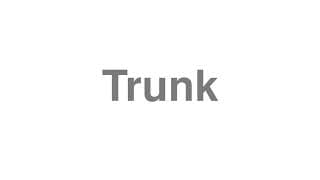 Trunk