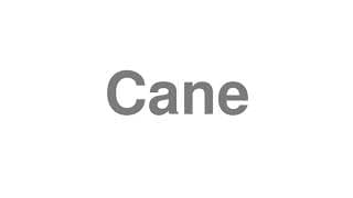 Cane