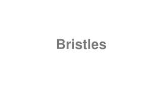 Bristles