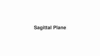 Sagittal Plane