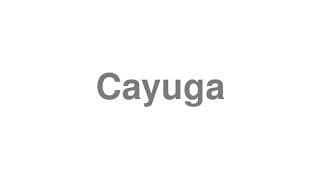 Cayuga
