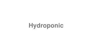 Hydroponic