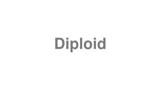 Diploid