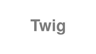 Twig