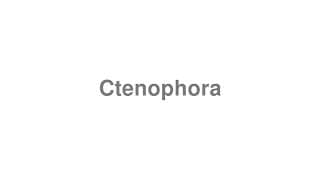 Ctenophora