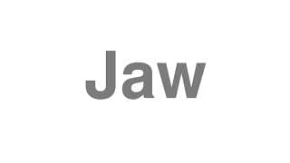 Jaw