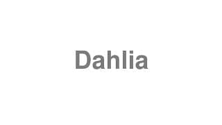 Dahlia