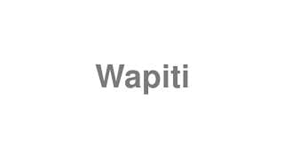 Wapiti