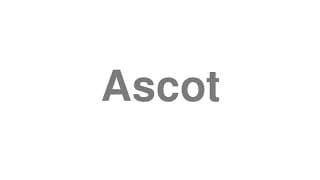 Ascot