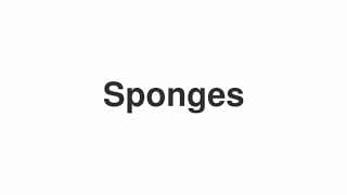 Sponges