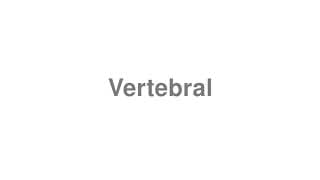 Vertebral