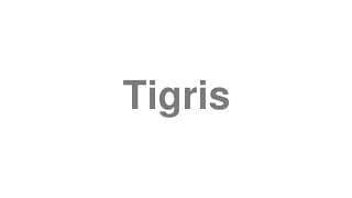 Tigris