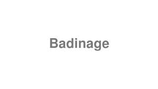 Badinage