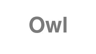 Owl