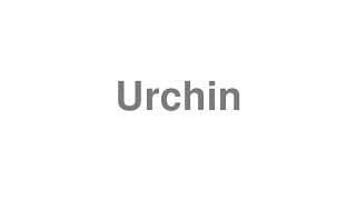 Urchin