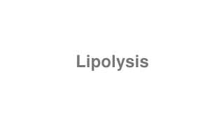 Lipolysis