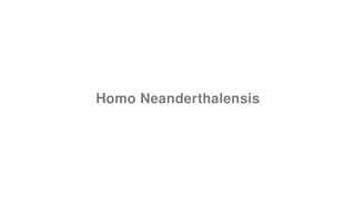 Homo Neanderthalensis