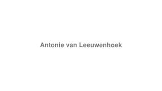Antonie van Leeuwenhoek