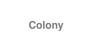 Colony