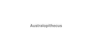 Australopithecus