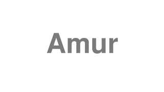 Amur