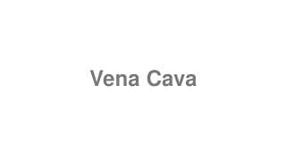 Vena Cava