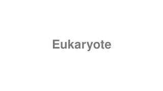 Eukaryote