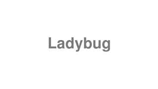 Ladybug