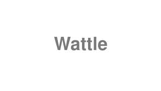 Wattle