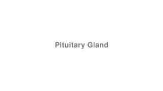 Pituitary Gland