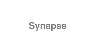 Synapse