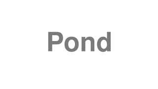 Pond