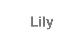 Lily