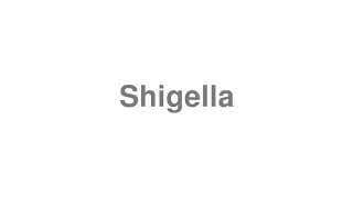 Shigella