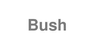 Bush