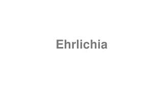 Ehrlichia