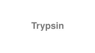 Trypsin