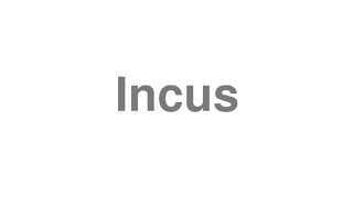 Incus