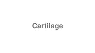 Cartilage