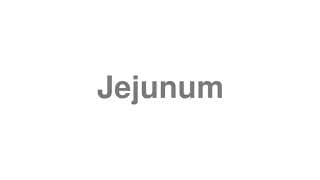 Jejunum