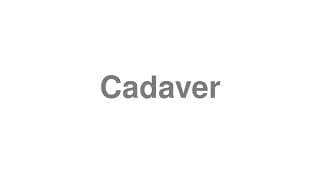Cadaver