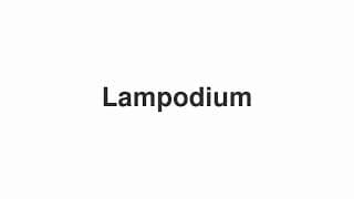 Lampodium