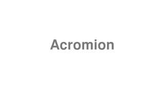 Acromion