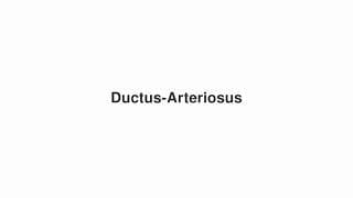 Ductus-Arteriosus