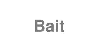 Bait