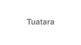 Tuatara