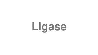 Ligase