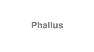 Phallus
