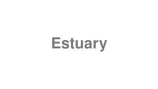 Estuary